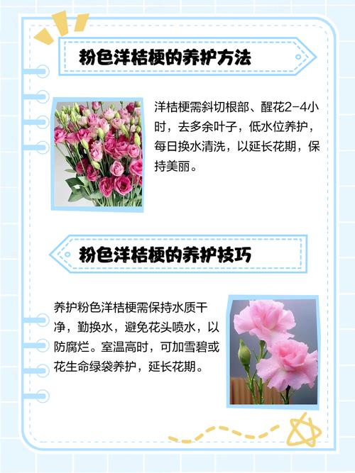 粉红洋桔梗花语，粉红洋桔梗花语是什么？