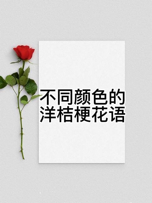 粉红洋桔梗花语，粉红洋桔梗花语是什么？-第6张图片-优品飞百科