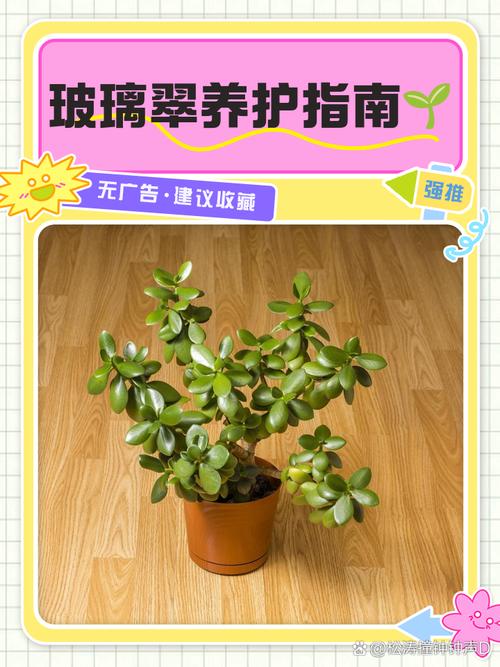 玻璃翠适合在室内养吗，玻璃翠可以室内养吗