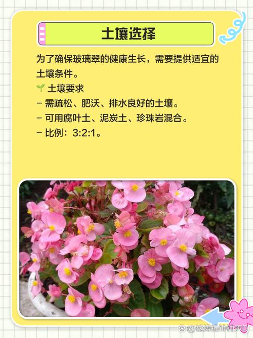 玻璃翠适合在室内养吗，玻璃翠可以室内养吗-第6张图片-优品飞百科