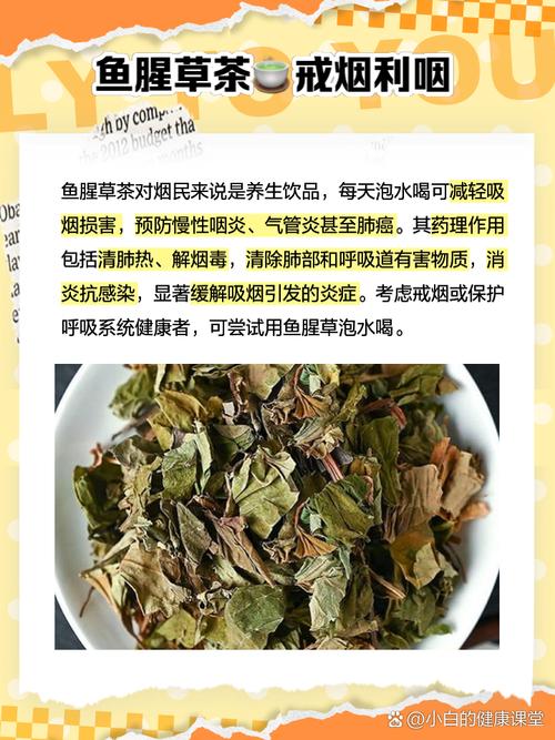 鱼腥草煮水小孩能吃吗，鱼腥草煮水小孩能喝吗？-第5张图片-优品飞百科