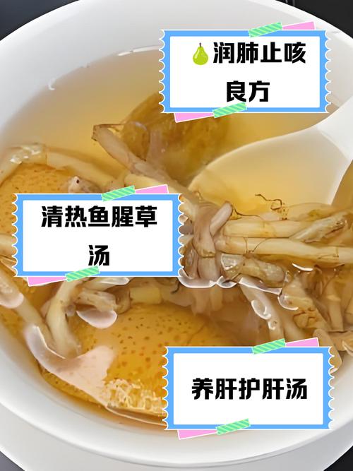 鱼腥草煮水小孩能吃吗，鱼腥草煮水小孩能喝吗？-第6张图片-优品飞百科
