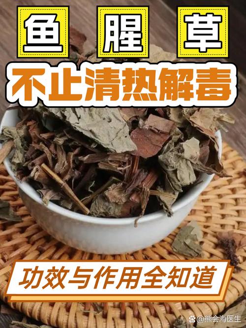 鱼腥草煮水小孩能吃吗，鱼腥草煮水小孩能喝吗？-第7张图片-优品飞百科