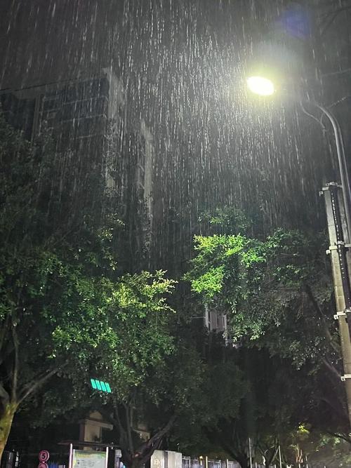 重庆四十天天气预报，重庆四十天天气预报查询