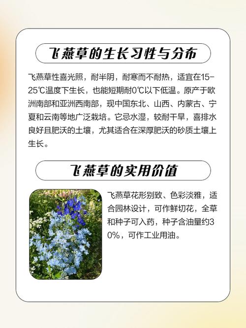 飞燕草的主要价值,飞燕草是中草药吗?-第6张图片-优品飞百科 飞燕草的主要价值,飞燕草是中草药吗?-第6张图片-优品飞百科