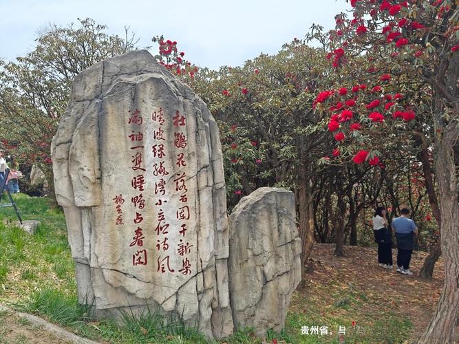 九洞天天气预报？贵州九洞天天气预报？-第2张图片-优品飞百科