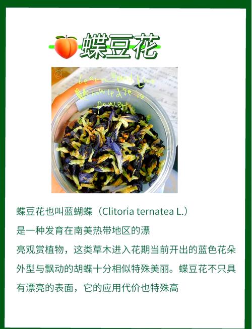 蓝蝴蝶的主要价值是什么,蓝蝴蝶是什么植物的花?-第1张图片-优品飞百科 蓝蝴蝶的主要价值是什么,蓝蝴蝶是什么植物的花?-第1张图片-优品飞百科