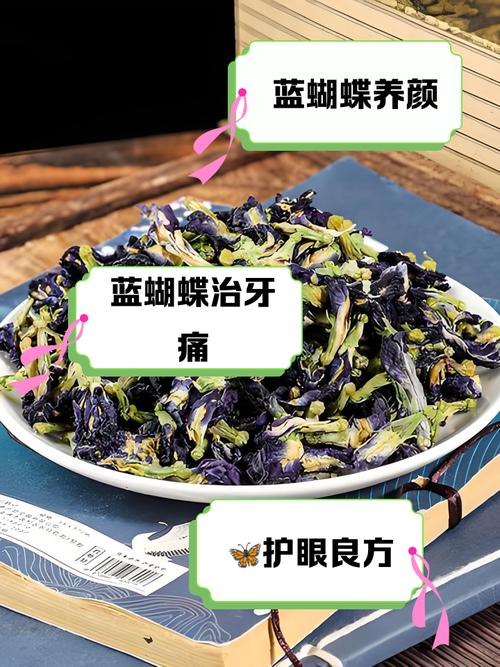 蓝蝴蝶的主要价值是什么,蓝蝴蝶是什么植物的花?-第6张图片-优品飞百科 蓝蝴蝶的主要价值是什么,蓝蝴蝶是什么植物的花?-第6张图片-优品飞百科