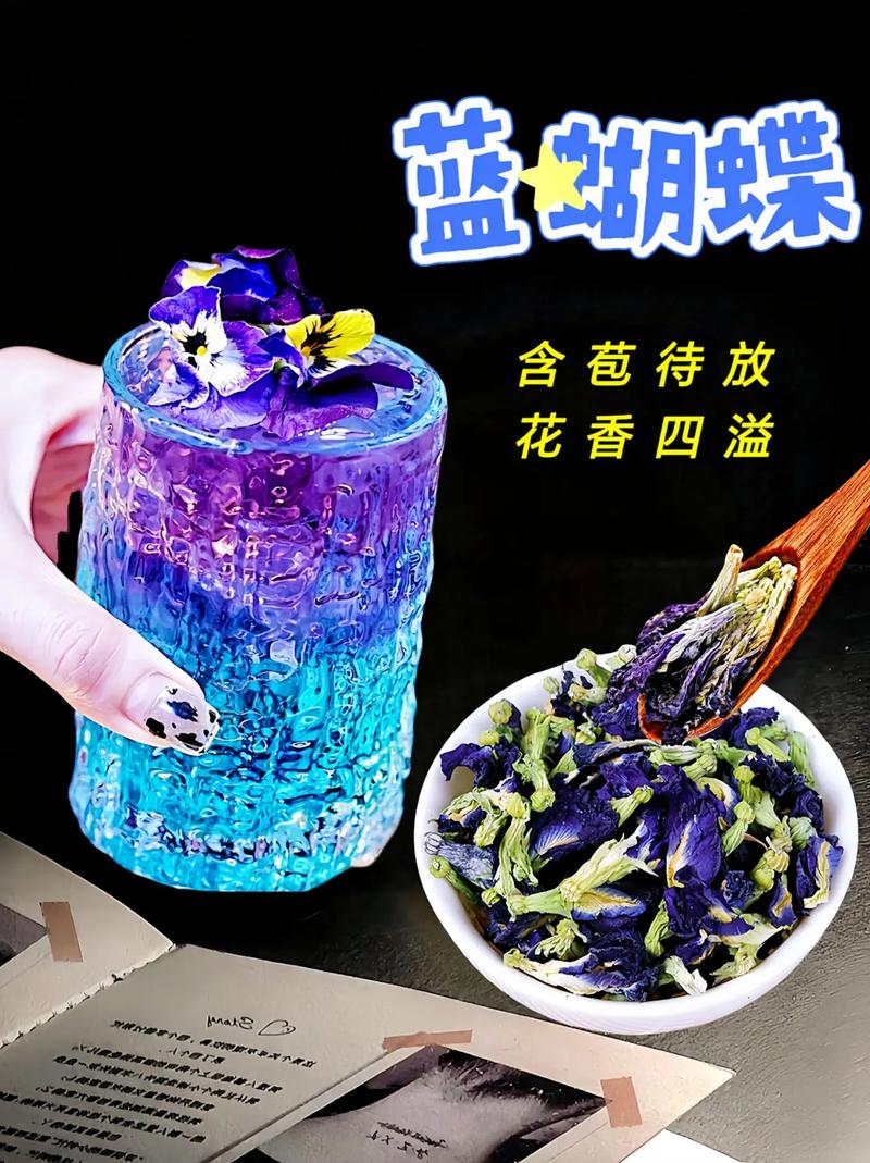 蓝蝴蝶的主要价值是什么,蓝蝴蝶是什么植物的花?-第7张图片-优品飞百科 蓝蝴蝶的主要价值是什么,蓝蝴蝶是什么植物的花?-第7张图片-优品飞百科