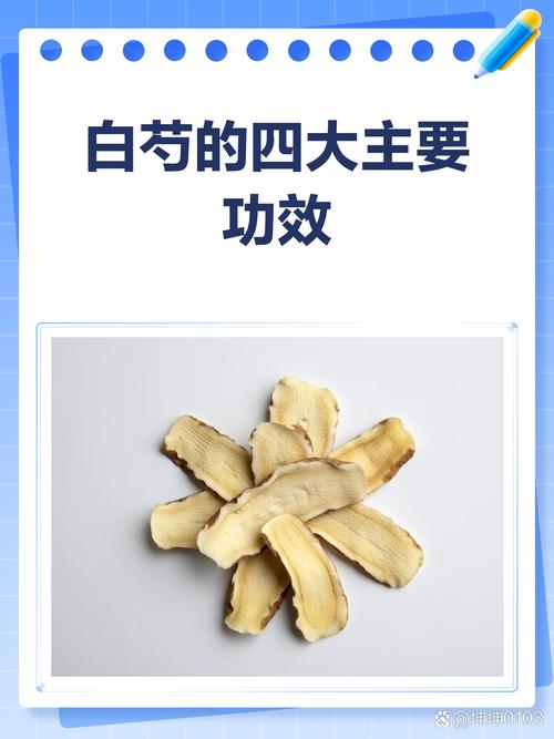 白芍药的功效与作用?黄芪配白芍药的功效与作用?-第4张图片-优品飞百科 白芍药的功效与作用?黄芪配白芍药的功效与作用?-第4张图片-优品飞百科