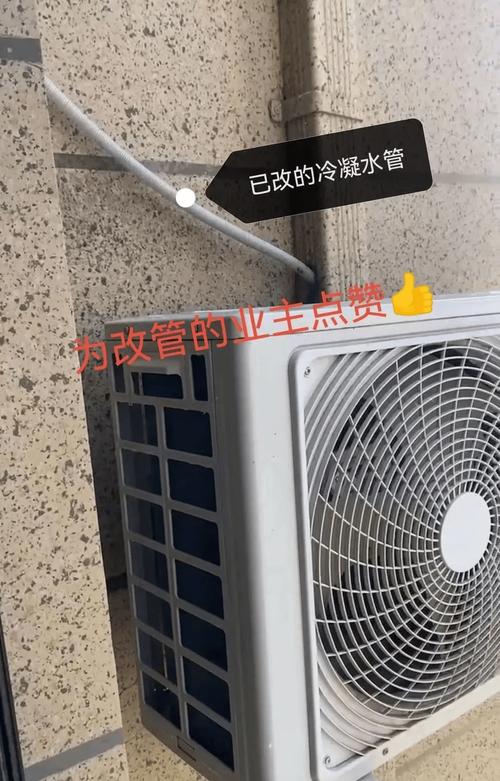 这花就是“活空调”，除尘防噪又降温，满墙疯长拦不住！的简单介绍-第5张图片-优品飞百科