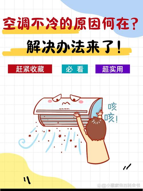 这花就是“活空调”，除尘防噪又降温，满墙疯长拦不住！的简单介绍-第6张图片-优品飞百科