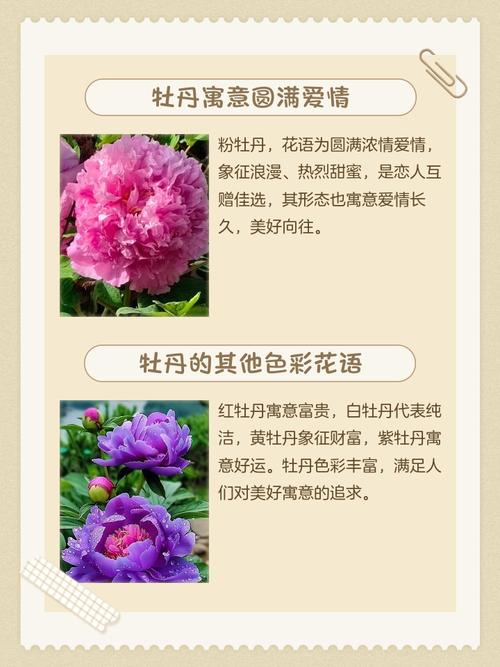 牡丹的寓意，二乔牡丹的寓意？-第2张图片-优品飞百科