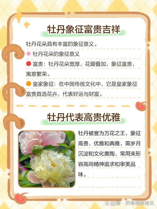 牡丹的寓意，二乔牡丹的寓意？-第6张图片-优品飞百科