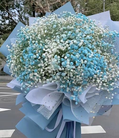 满天星的寓意及象征，满天星象征与寓意-第1张图片-优品飞百科