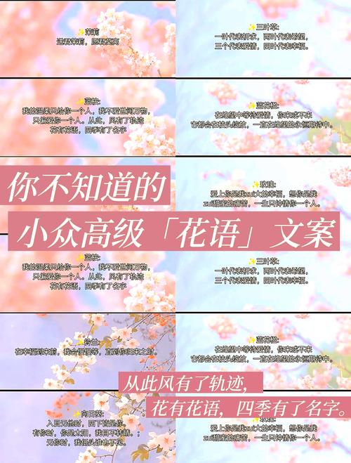 满天星的寓意及象征，满天星象征与寓意-第3张图片-优品飞百科