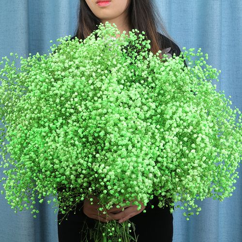 满天星的寓意及象征，满天星象征与寓意-第4张图片-优品飞百科