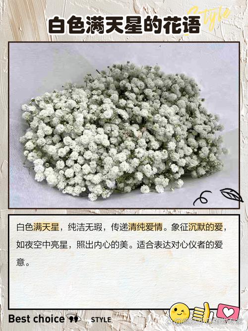 满天星的寓意及象征，满天星象征与寓意-第5张图片-优品飞百科