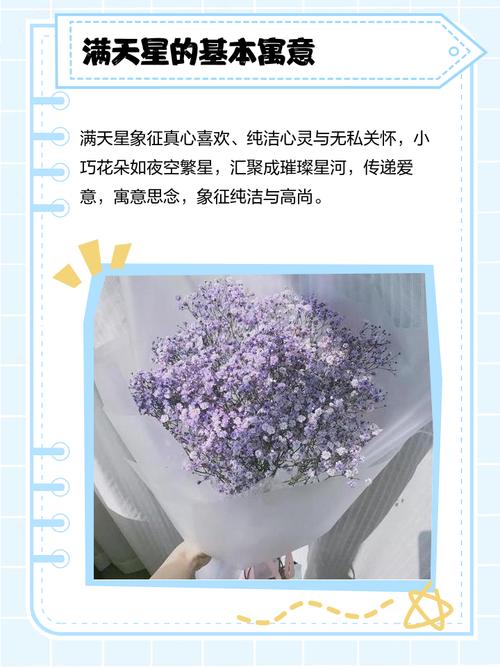 满天星的寓意及象征，满天星象征与寓意-第6张图片-优品飞百科