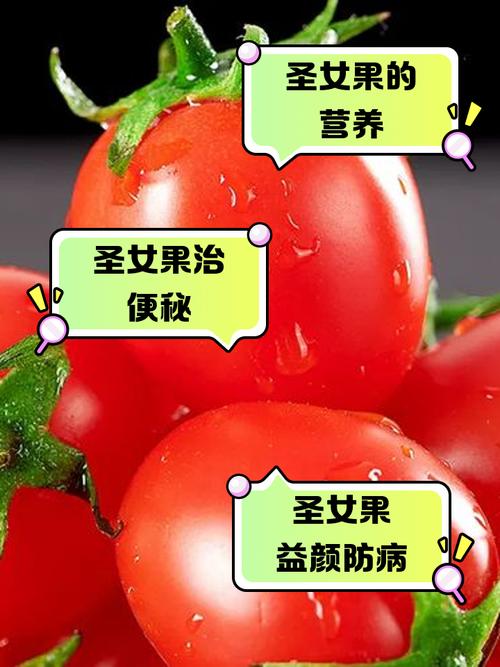 圣女果的功效与作用，女性吃圣女果的功效与作用-第3张图片-优品飞百科