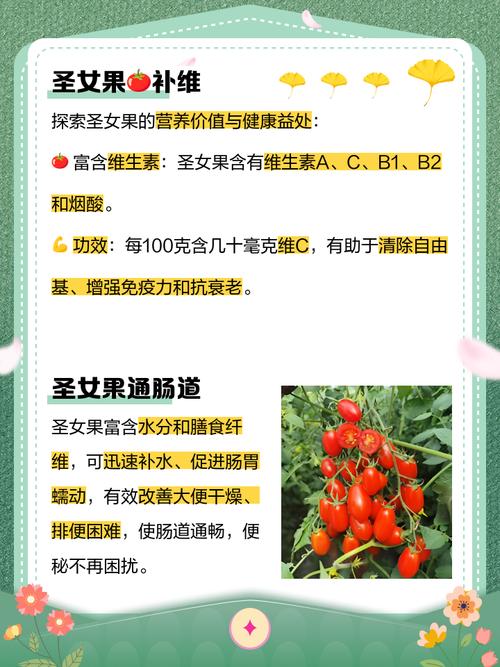 圣女果的功效与作用，女性吃圣女果的功效与作用-第4张图片-优品飞百科