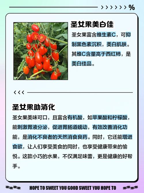 圣女果的功效与作用，女性吃圣女果的功效与作用-第6张图片-优品飞百科