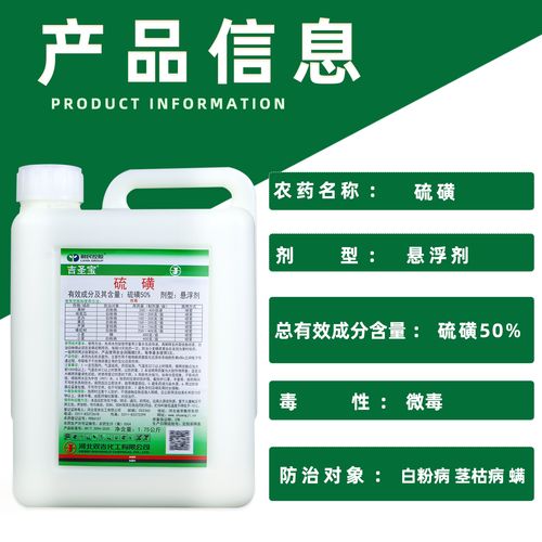 黄瓜白粉病怎么治疗？黄瓜叶斑病的治疗方法？-第2张图片-优品飞百科