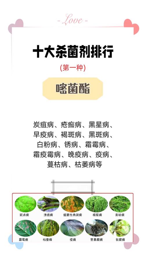 黄瓜白粉病怎么治疗？黄瓜叶斑病的治疗方法？-第3张图片-优品飞百科