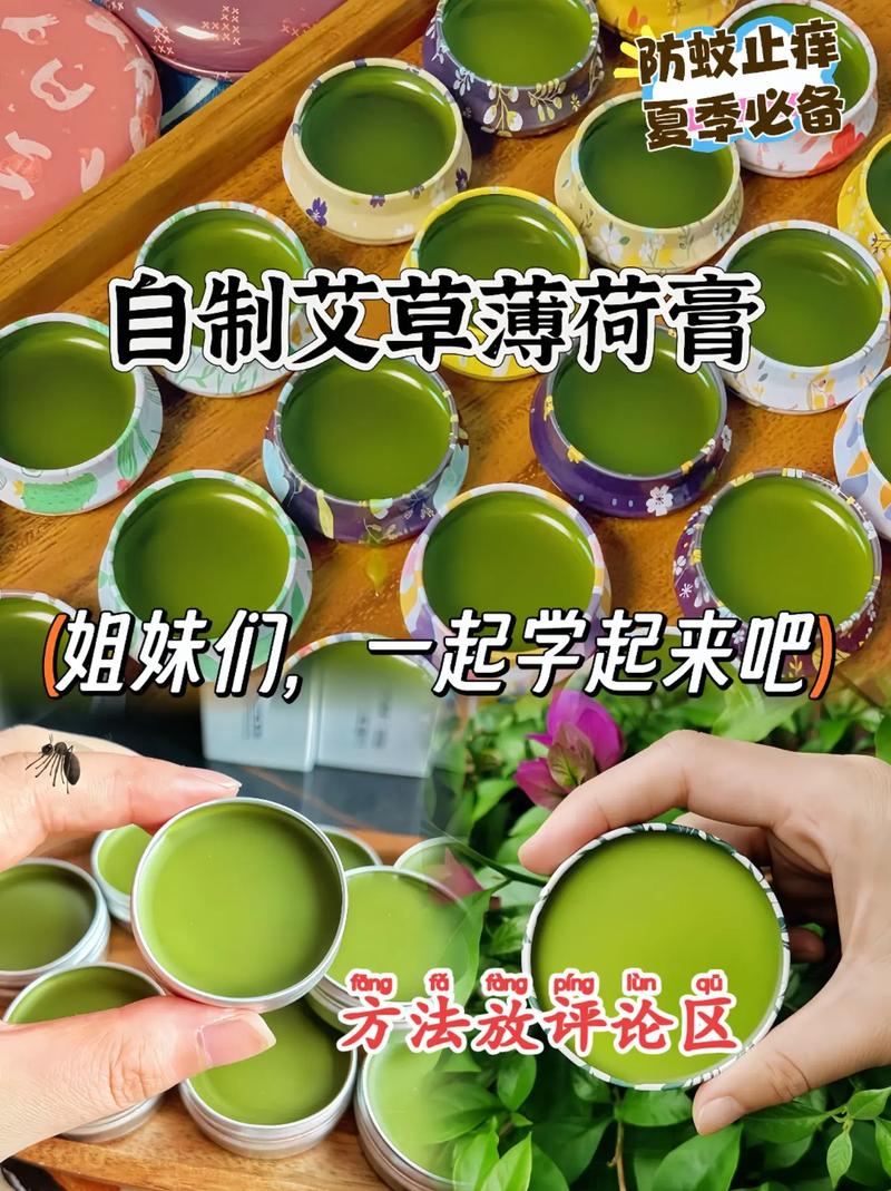 薄荷与艾草，驱虫又利身心？薄荷和艾草功效作用？-第4张图片-优品飞百科