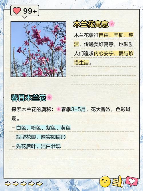 弹簧草的花语和寓意，适合送给什么人，弹簧草花语和风水-第5张图片-优品飞百科