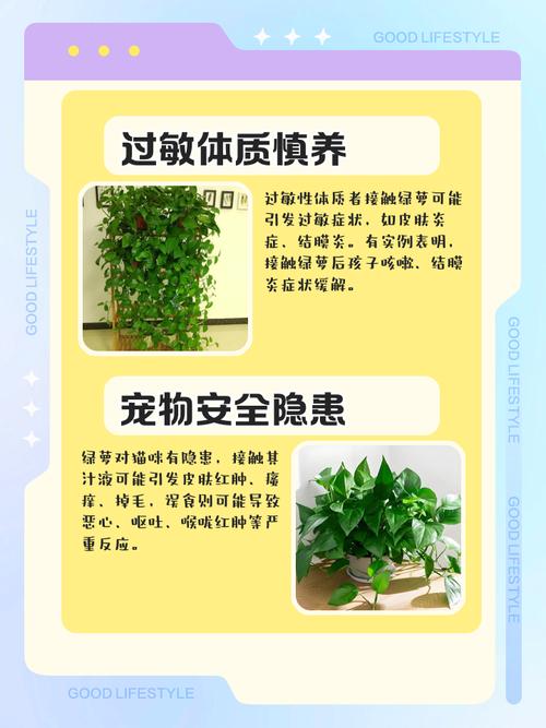 误食绿萝叶子会中毒吗，误食绿萝叶子有毒吗-第4张图片-优品飞百科