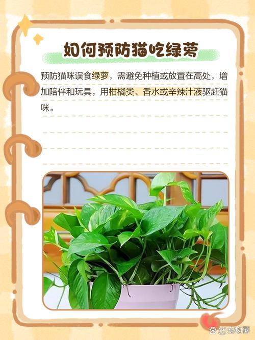 误食绿萝叶子会中毒吗，误食绿萝叶子有毒吗-第6张图片-优品飞百科