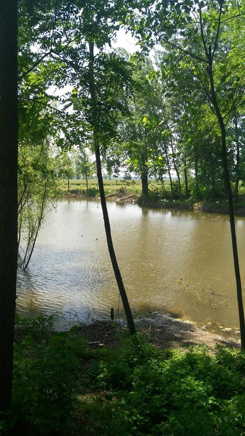 今日沈丘天气预报,今天沈丘最新天气预报?-第1张图片-优品飞百科 今日沈丘天气预报,今天沈丘最新天气预报?-第1张图片-优品飞百科