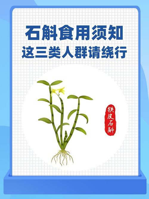 什么人不适合吃石斛，什么体质不能吃石斛？-第6张图片-优品飞百科