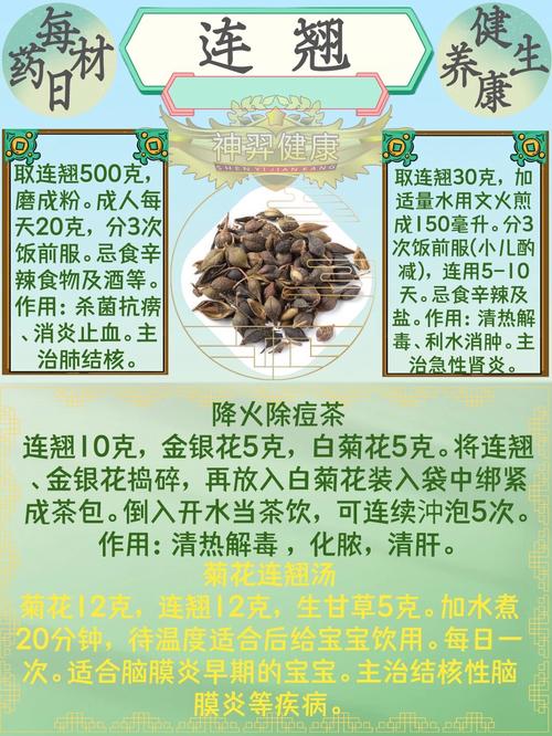 连翘可以在家盆栽吗，用多大的盆，连翘能盆栽吗