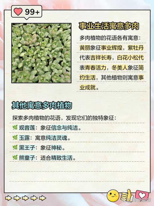 黄丽的花语是什么？黄丽花的样子？-第7张图片-优品飞百科