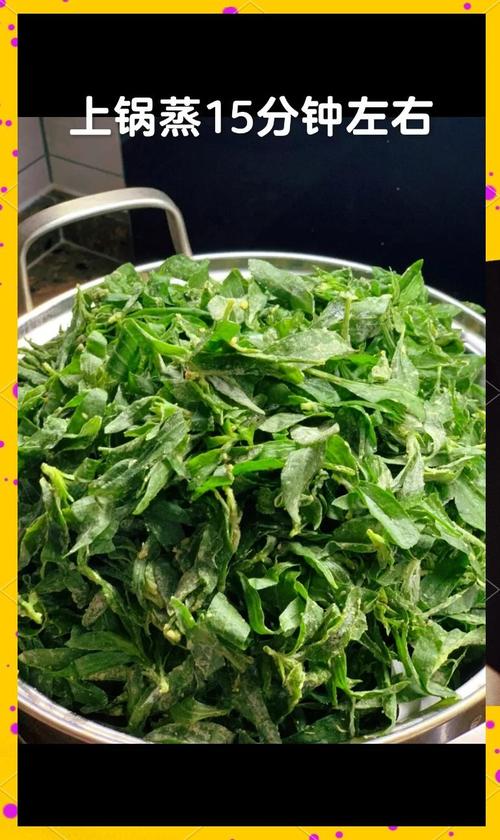 扫帚菜的吃法,扫帚菜10种最佳吃法?-第2张图片-优品飞百科 扫帚菜的吃法,扫帚菜10种最佳吃法?-第2张图片-优品飞百科