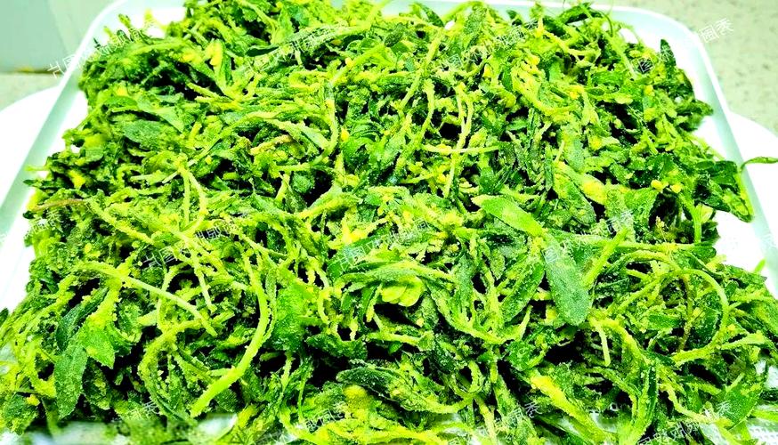扫帚菜的吃法,扫帚菜10种最佳吃法?-第5张图片-优品飞百科 扫帚菜的吃法,扫帚菜10种最佳吃法?-第5张图片-优品飞百科