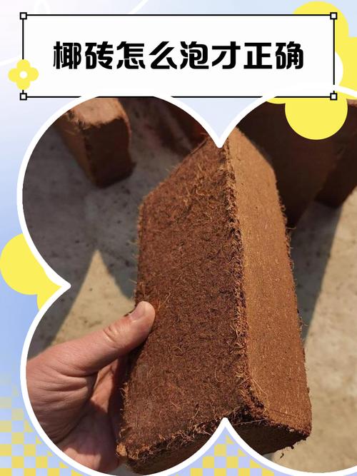 椰糠砖的正确使用方法,怎么配土?椰糠砖可以直接使用吗?-第1张图片-优品飞百科 椰糠砖的正确使用方法,怎么配土?椰糠砖可以直接使用吗?-第1张图片-优品飞百科