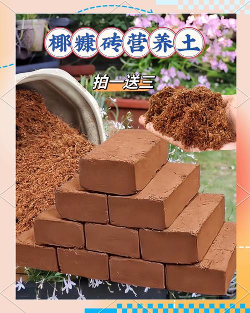 椰糠砖的正确使用方法,怎么配土?椰糠砖可以直接使用吗?-第2张图片-优品飞百科 椰糠砖的正确使用方法,怎么配土?椰糠砖可以直接使用吗?-第2张图片-优品飞百科