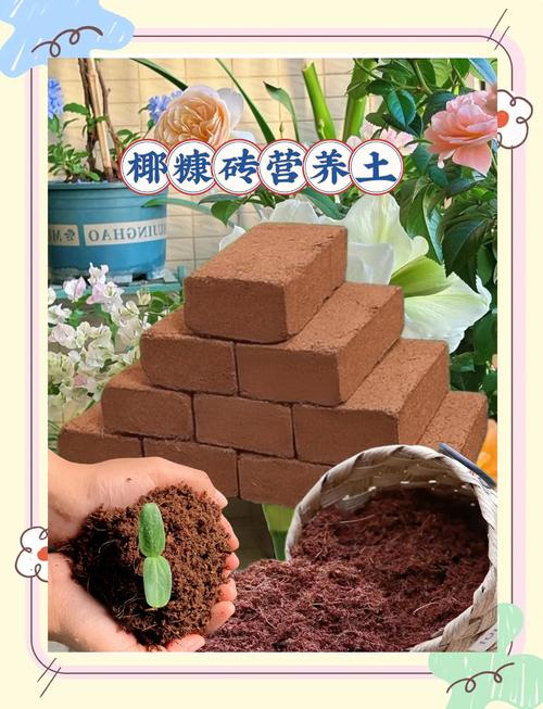 椰糠砖的正确使用方法,怎么配土?椰糠砖可以直接使用吗?-第3张图片-优品飞百科 椰糠砖的正确使用方法,怎么配土?椰糠砖可以直接使用吗?-第3张图片-优品飞百科