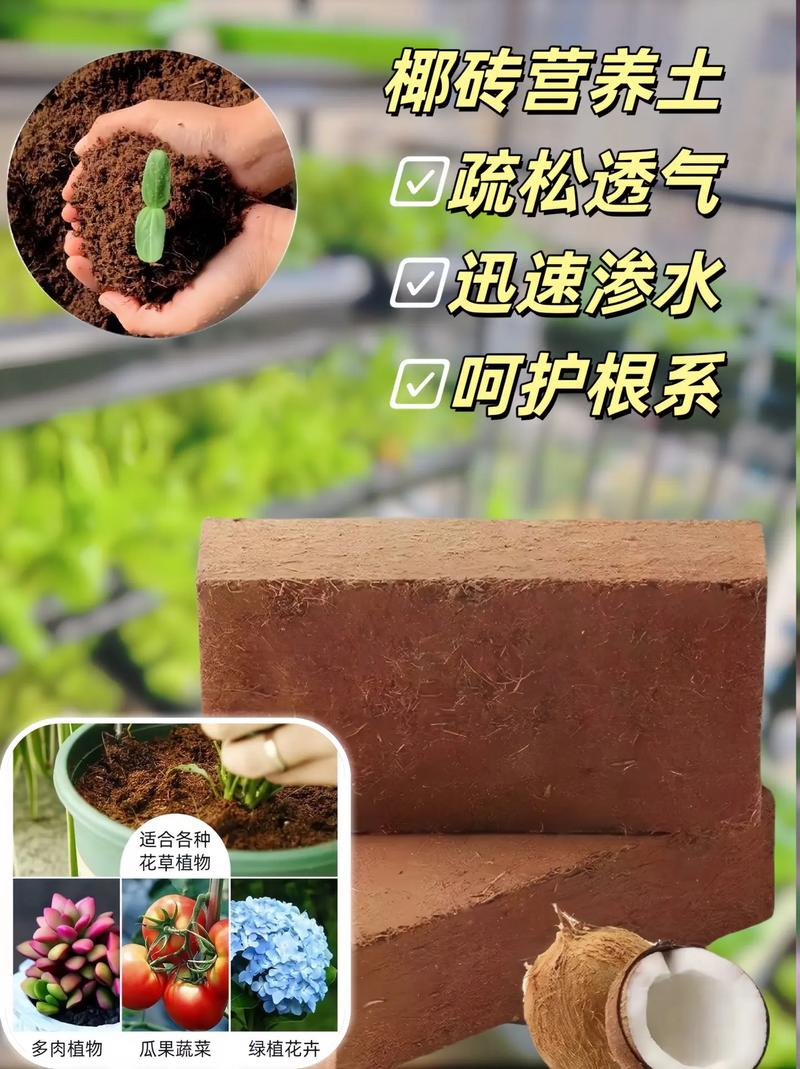 椰糠砖的正确使用方法,怎么配土?椰糠砖可以直接使用吗?-第4张图片-优品飞百科 椰糠砖的正确使用方法,怎么配土?椰糠砖可以直接使用吗?-第4张图片-优品飞百科