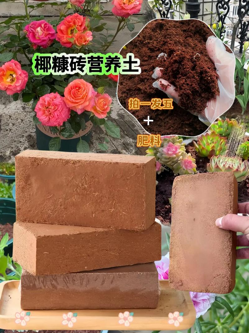 椰糠砖的正确使用方法,怎么配土?椰糠砖可以直接使用吗?-第5张图片-优品飞百科 椰糠砖的正确使用方法,怎么配土?椰糠砖可以直接使用吗?-第5张图片-优品飞百科