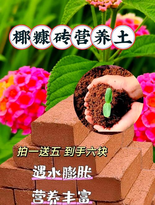 椰糠砖的正确使用方法,怎么配土?椰糠砖可以直接使用吗?-第7张图片-优品飞百科 椰糠砖的正确使用方法,怎么配土?椰糠砖可以直接使用吗?-第7张图片-优品飞百科