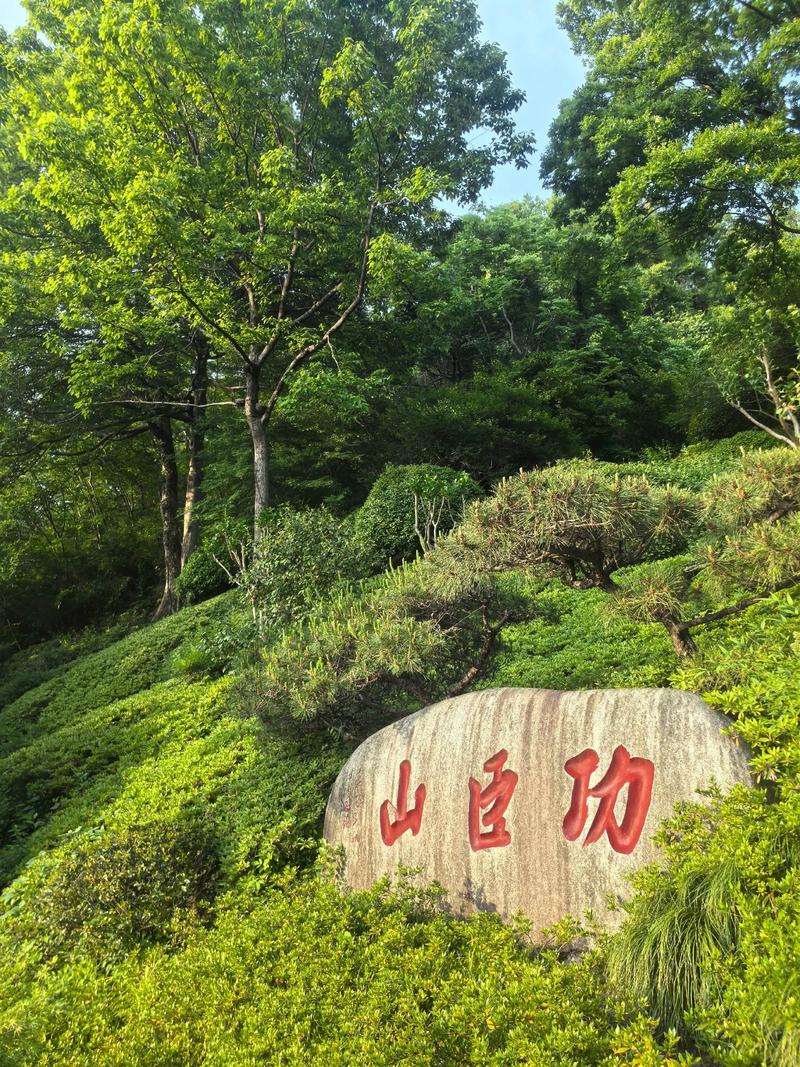 天气预报临安青山湖？浙江临安青山湖天气预报？