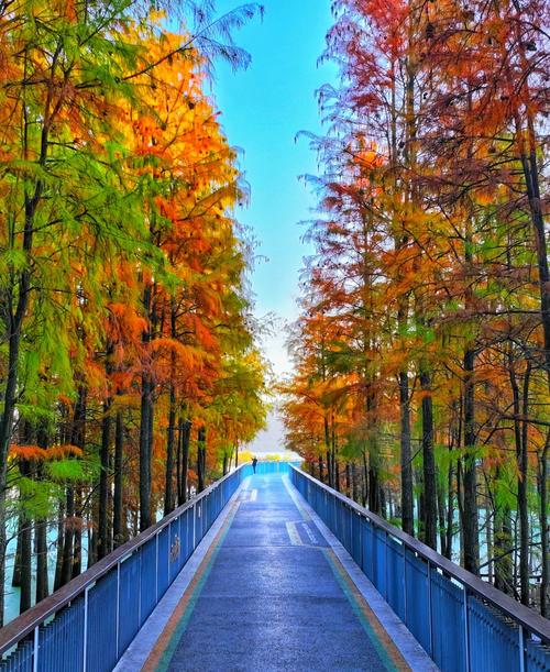 天气预报临安青山湖？浙江临安青山湖天气预报？-第4张图片-优品飞百科