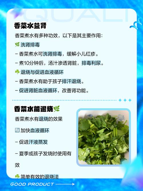 香菜煮水的功效与作用，香菜水的功效与作用，香菜煮水神奇功效-第3张图片-优品飞百科