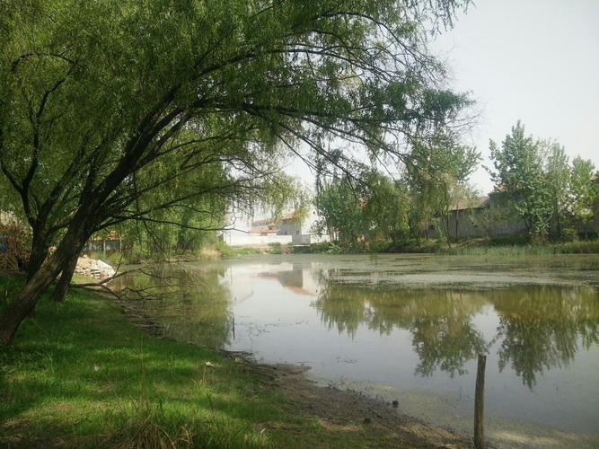 徐州沛县天气预报,徐卅沛县天气-第1张图片-优品飞百科 徐州沛县天气预报,徐卅沛县天气-第1张图片-优品飞百科