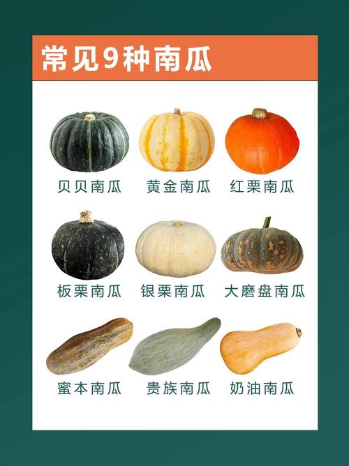 南瓜与什么相克，不能和什么同吃，南瓜与什么食物不能一起吃？-第4张图片-优品飞百科