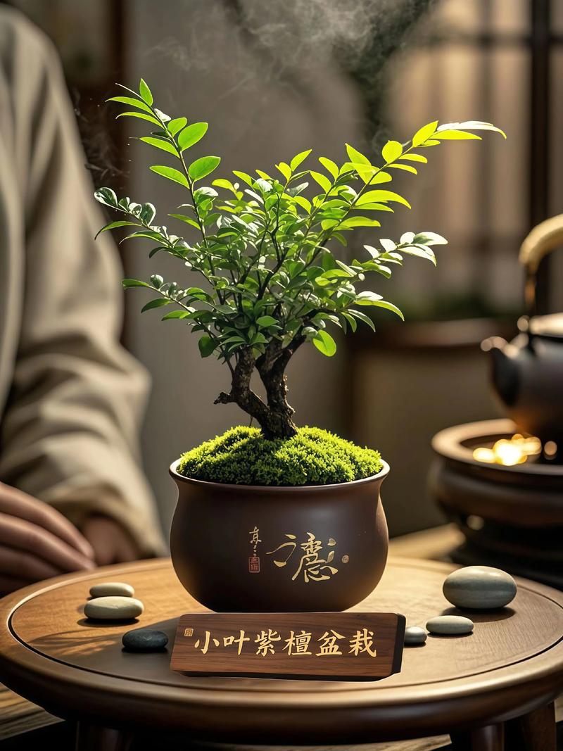 2种植物一起种，净化空气效果倍增，种什么植物净化空气